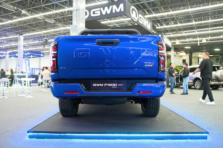 Gwm P300 3