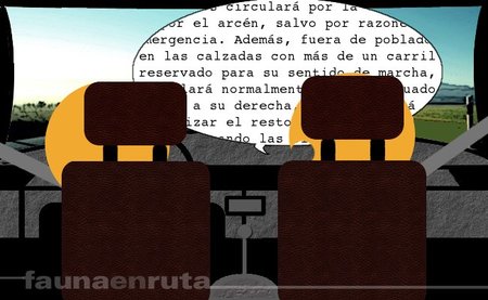 fauna en ruta: profes de autoescuela