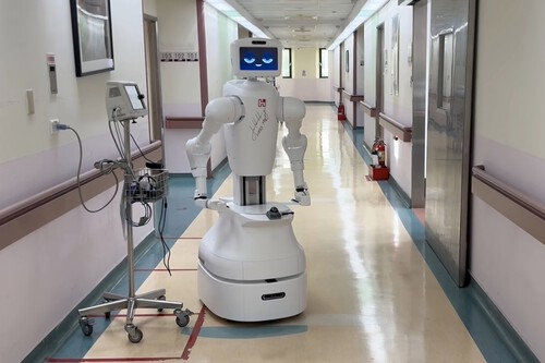 Nurabot De Foxconn Y Kawasaki 23