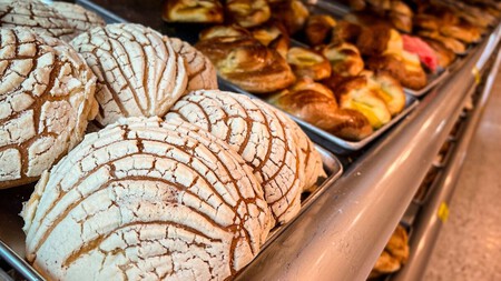 Conchas