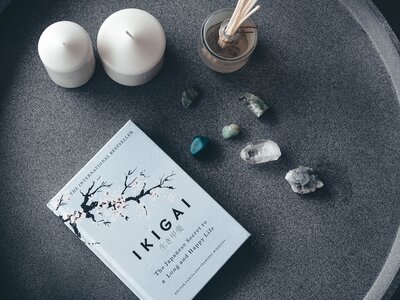 Ikigai: el secreto de Toyota para vivir más años 