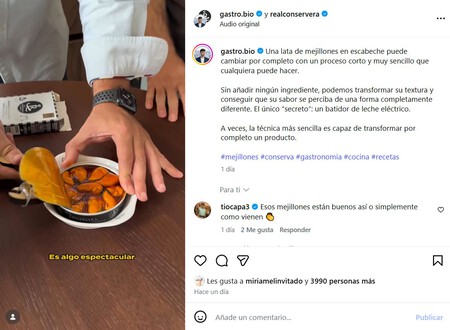 Mejillones Ig