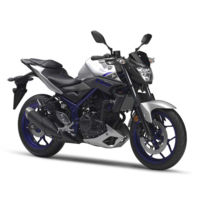 Al final era cierto, habrá una nueva Yamaha MT-03