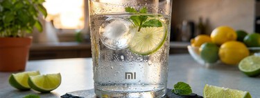 Es de Xiaomi, lo pones en el grifo de la cocina y te mata hasta 145 tipos de contaminantes del agua 