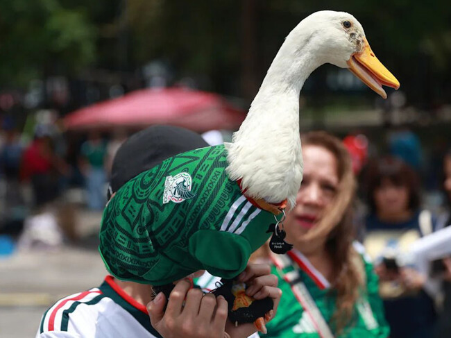 Merlin Pato