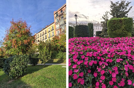 1x en día soleado y en día nublado