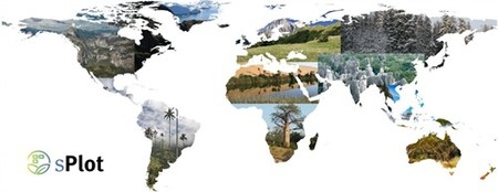 Esta base de datos global de vegetación con 1,1 millones de entradas