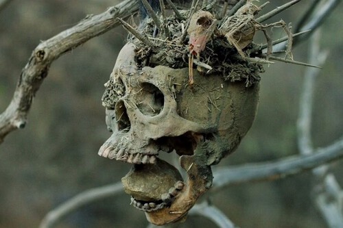 Bone Tomahawk