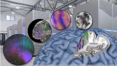 Necesitamos más que nunca la supercomputación se queremos entender de verdad cómo funciona el cerebro
