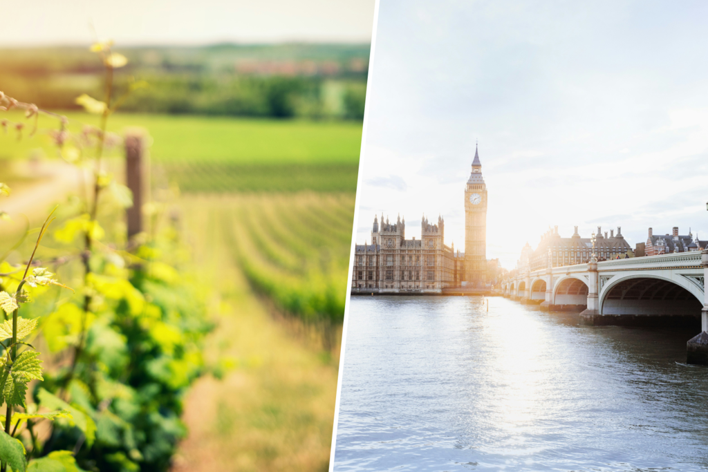 Hay miles de millones de personas preocupadas por el cambio climático, pero hay un grupito que no lo está: los viticultores ingleses  