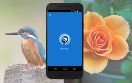 La identificación con el móvil más allá de Shazam: de las canciones a las aves pasando por las plantas