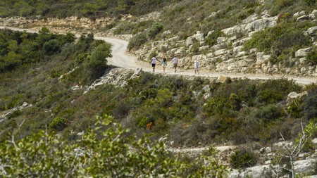 Parque Natural De La Serra Dirta 3