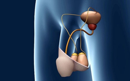 Este interruptor de la fertilidad del hombre ha sido desarrollado por un carpientero alemán