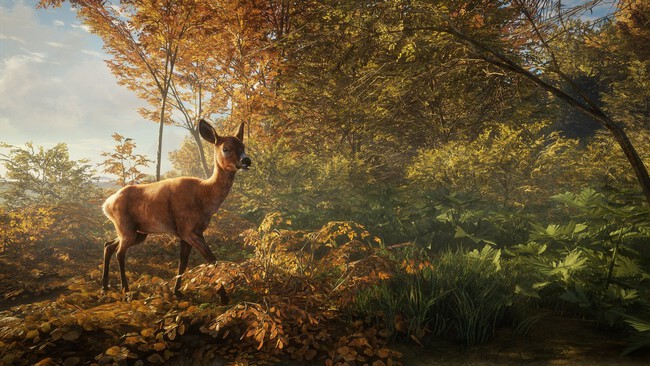 Thehunter Call Of The Wild Gratis Epic Games