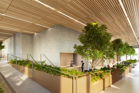 これらのオフィスのインテリアがどのようになるかを示すレンダリングの 1 つ。非常に Apple を識別する美学があり、Apple Park や Apple Store に似ています (画像: Apple)