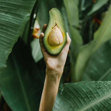 Estos son los sencillos pasos para cultivar un aguacate en casa desde el hueso, vivas donde vivas 