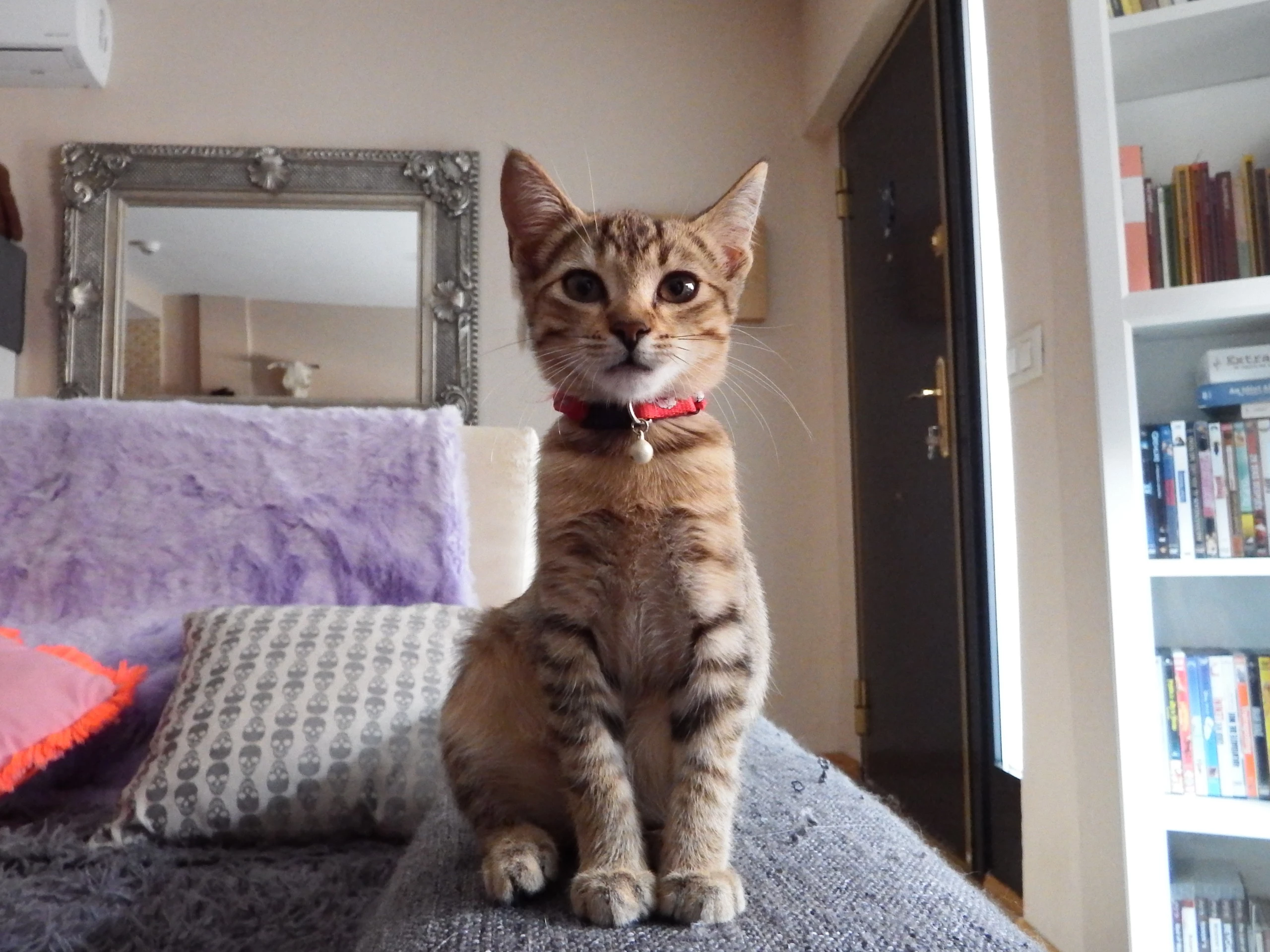 Foto de Muestras de cámara Alcatel A7 (20/22)