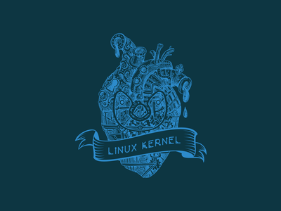Linus Torvalds anuncia el kernel de Linux 5.4: la última gran actualización del año trae soporte para el exFAT de Microsoft
