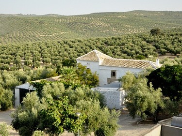 ¿Qué tienen en común el aceite de oliva, los mantones de Manila y el turismo?