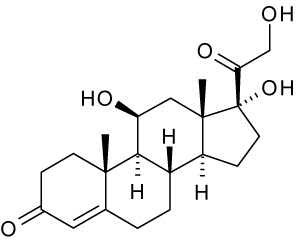 La química del apego seguro