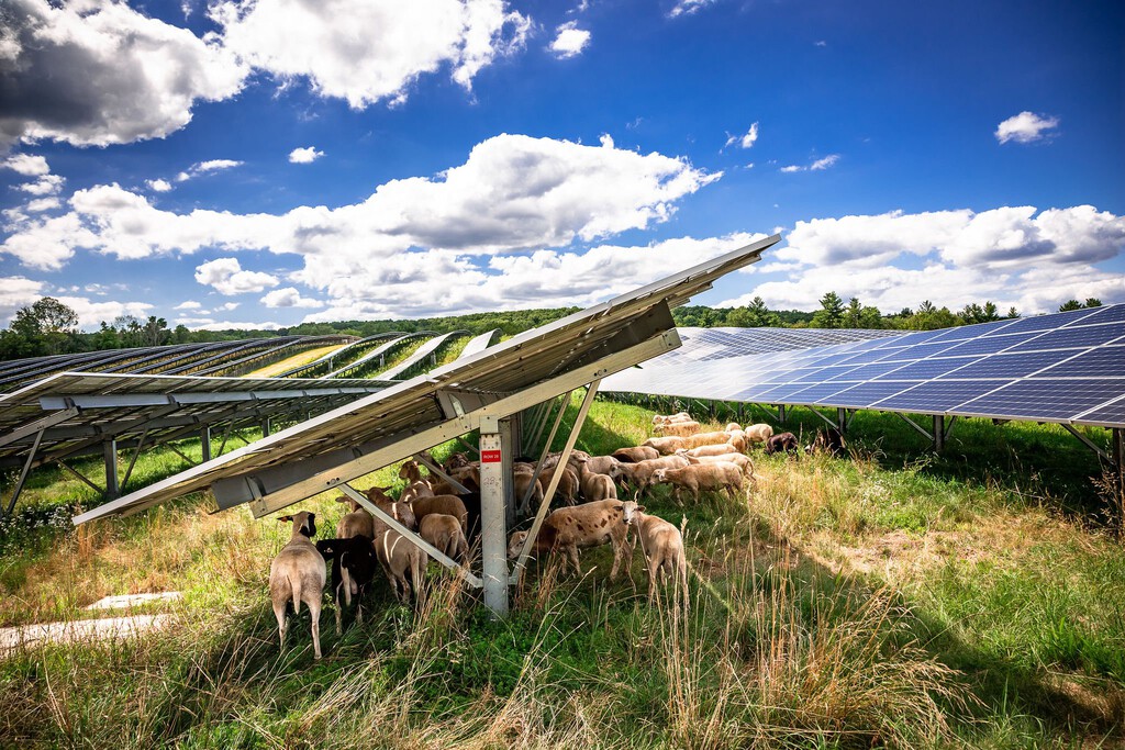 Si Europa está batiendo récords de energía solar este verano, ¿por qué se ha disparado el precio de la luz?