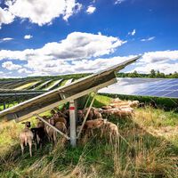 Si Europa está batiendo récords de energía solar este verano, ¿por qué se ha disparado el precio de la luz?