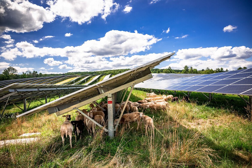 Si Europa está batiendo récords de energía solar este verano, ¿por qué se ha disparado el precio de la luz?