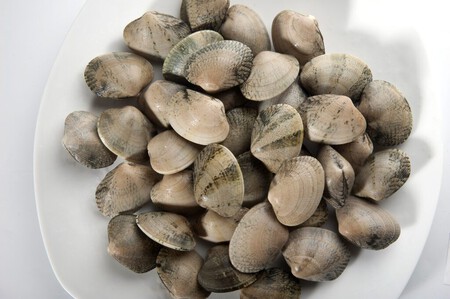 Almeja Fina C O Percebeiro