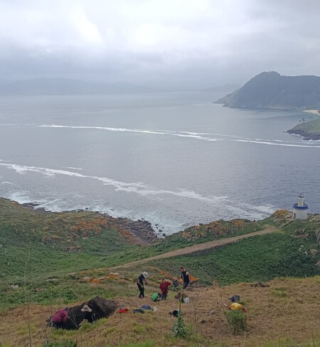 Cies2
