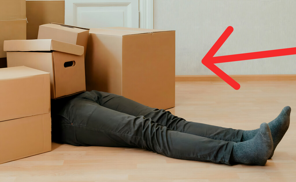 Si tienes cajas de Amazon, no las tires, tienes un tesoro en casa: nueve formas de reutilizarlas . Noticias en tiempo real