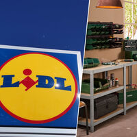 El 23 de octubre llegan al outlet de Lidl las herramientas esenciales de Parkside para el hogar por menos de 2 euros 