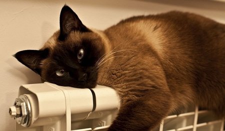 Tener la casa a punto ante la llegada del frío: calefacción con radiadores