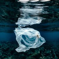 É mais assustador do que parece: cientistas criam "plástico vivo" que pode se destruir com um simples comando 