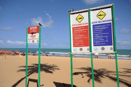 Placas Espalhadas Pela Praia De Boa Viagem Em Recife Que Sinalizam O Perigo Do Ataque De Tubaroes 1678158948687 V2 1920x1277