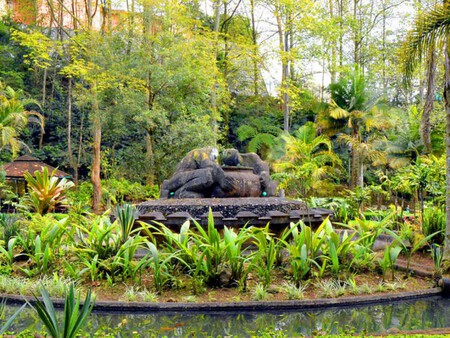 En Veracruz existe un pequeño oasis que es comparado con Xilitla, tiene manantiales de agua cristalina y es ideal para desconectarte