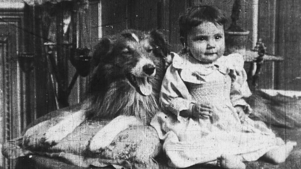 El primer perro de la historia del cine tuvo tanto éxito que rompieron el negativo tratando de hacer copias sin parar y tomaron una decisión inédita