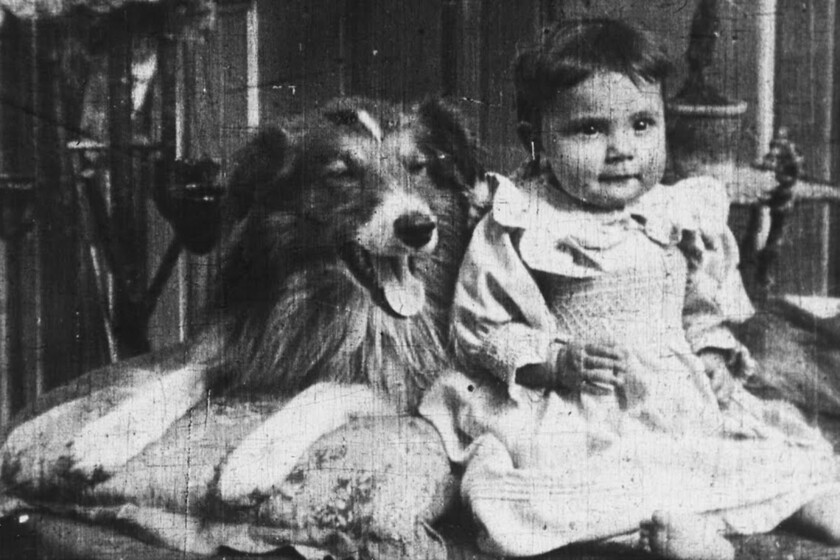 El primer perro de la historia del cine tuvo tanto éxito que rompieron el negativo tratando de hacer copias sin parar y tomaron una decisión inédita