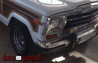 Si te gusta pisarle al coche lo mejor es..., en box populi (90)