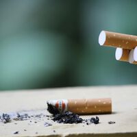 Tirar colillas de cigarro al piso será un problema en Tamaulipas: habrá botes especiales y sanciones a quien lo haga 