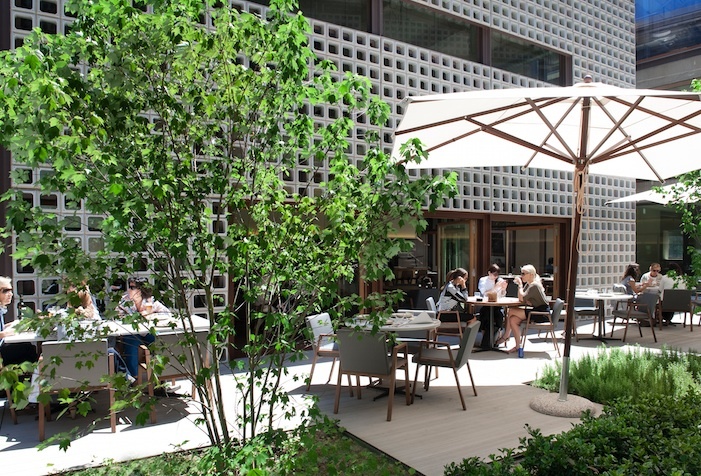 Foto de Bosco de Lobos (4/5)