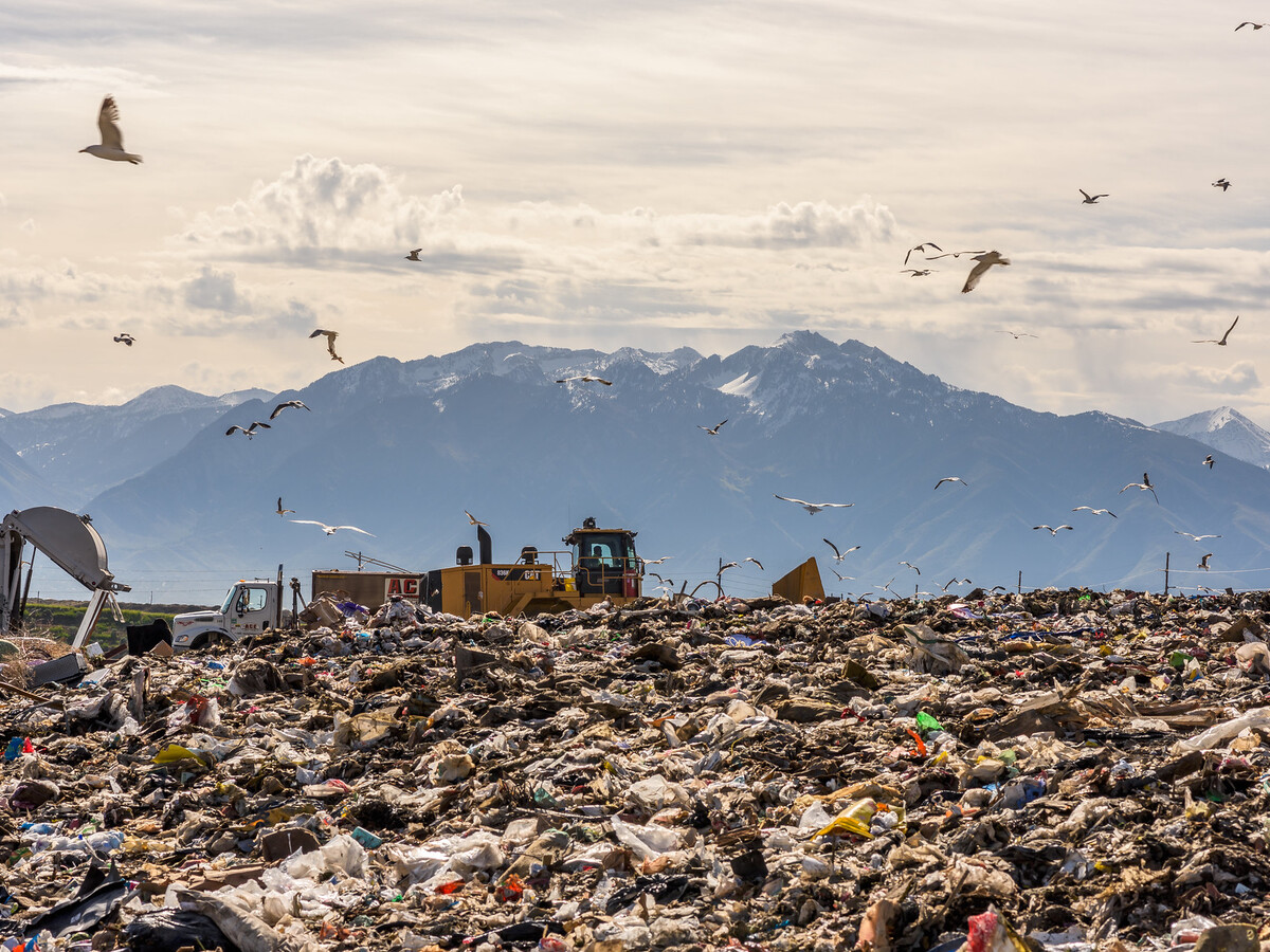 315 millones de euros en bitcoins: el hombre que lleva años buscando un  disco duro en un vertedero