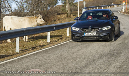 BMW M4 Cabrio Motorpasion 33 1000