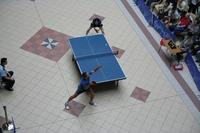 Tenis de mesa, sex-appeal, deporte y espectáculo