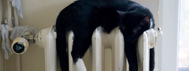 Caldera de gas, gasóleo, radiador eléctrico, estufa de butano o parafina: esta es la calefacción que gasta menos