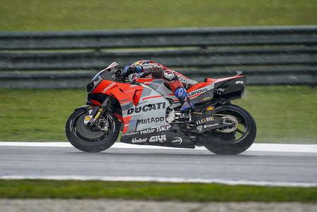 Dovi