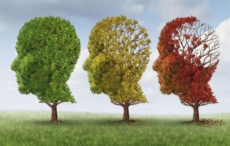 Día Mundial del Alzheimer: lo prevenimos desde ya haciendo ejercicio