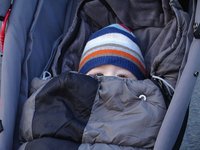 La equinácea no parece curar los resfriados