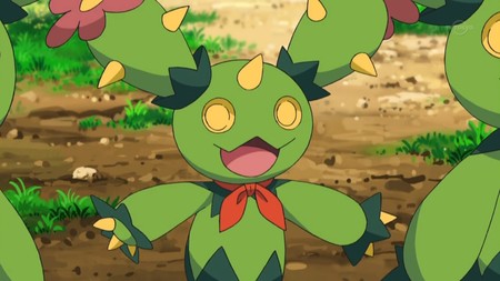 Maractus Maractus