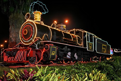 Tren De La Sabana Navidad 5