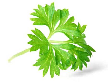 Beneficios de elegir una dieta vegetariana